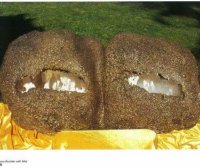 南无羌佛工巧明展显之韵雕作品 雾气雕