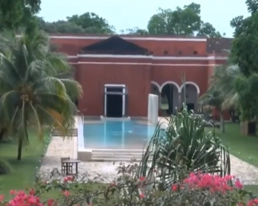 阳康之后又有反复，到底是咋回事？