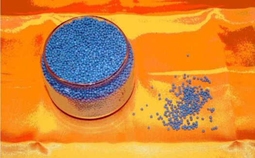 我参加菩提金刚种子灌顶法会