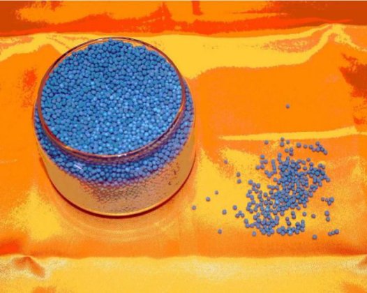 我参加菩提金刚种子灌顶法会