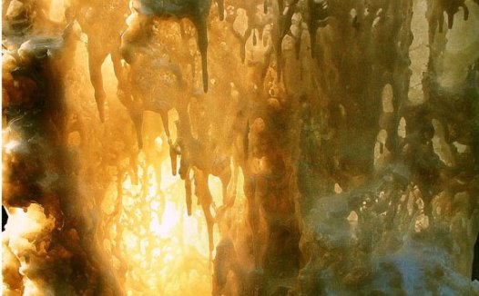 这个春节太有意义了，闻法共修我再也不会不敢说、说不出、怕说错了！ 