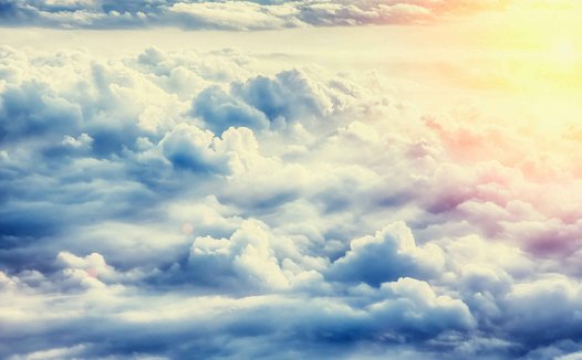 假如来生我也投胎成一条小狗,怎么办?