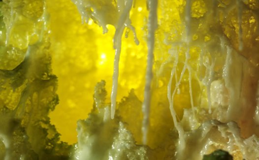 面对面粉里的小虫子,我这样处理行吗?