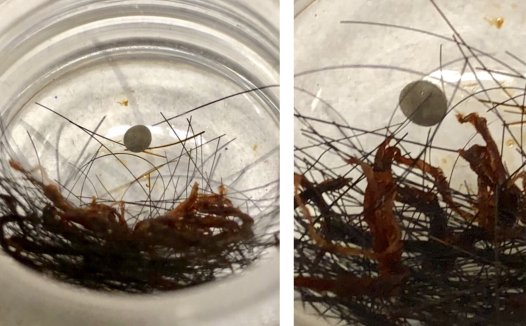 南无第三世多杰羌佛的发舍利