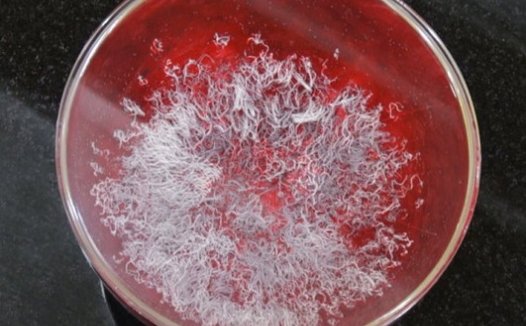 《藉心经说真谛》至宝经典法会 佛降甘露恭贺