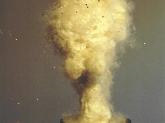 真实佛法在人间 天乐五彩祥云起 佛降甘露成宝柱 仰谔益西诺布大法王佛诞展神威