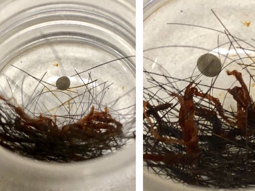 南无第三世多杰羌佛的发舍利