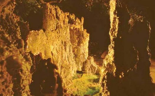 如果说美貌是推荐信,那么善良就是信用卡, 是生活中的通行证