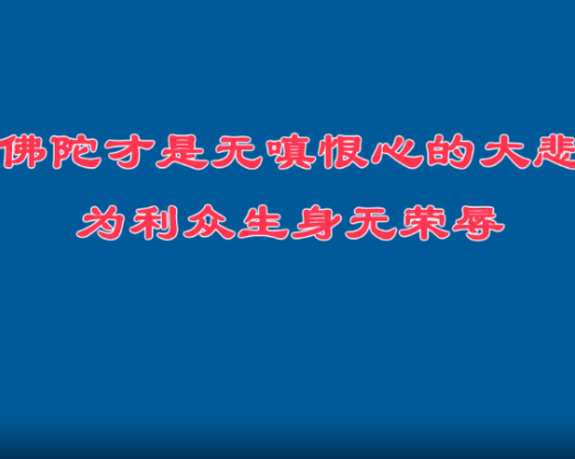 只有佛陀才是无嗔恨心的大悲之王，为利众生身无荣辱